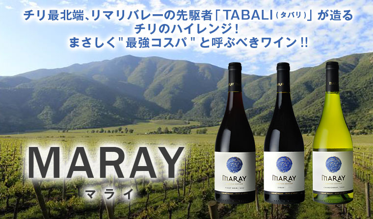 MARAY マライ チリ最北端、リマリバレーの先駆者「TABALI(タバリ)」が造るチリのハイレンジ！まさしく最強コスパと呼ぶべきワイン!!